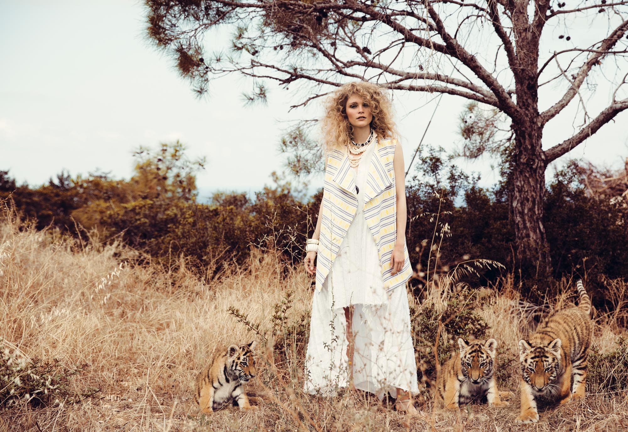 Wild Nature Editorial